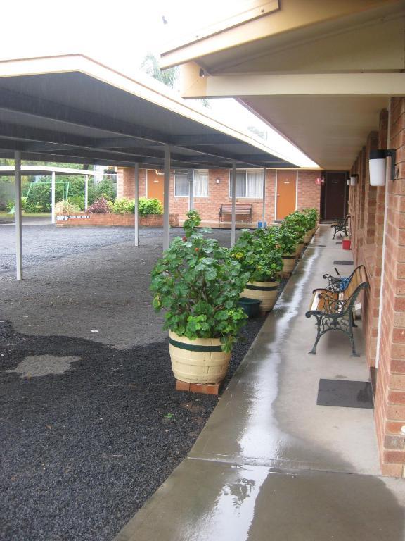Alfa motel Gilgandra Esterno foto